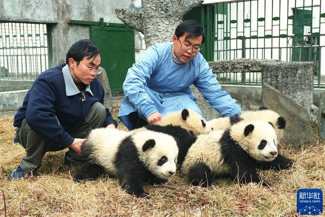 我在现场·光影流年陈燮：让影像留驻历史(图30)