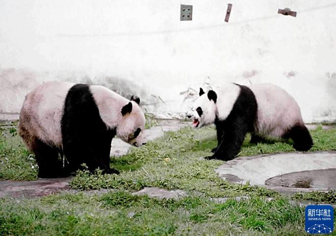 我在现场·光影流年陈燮：让影像留驻历史(图31)