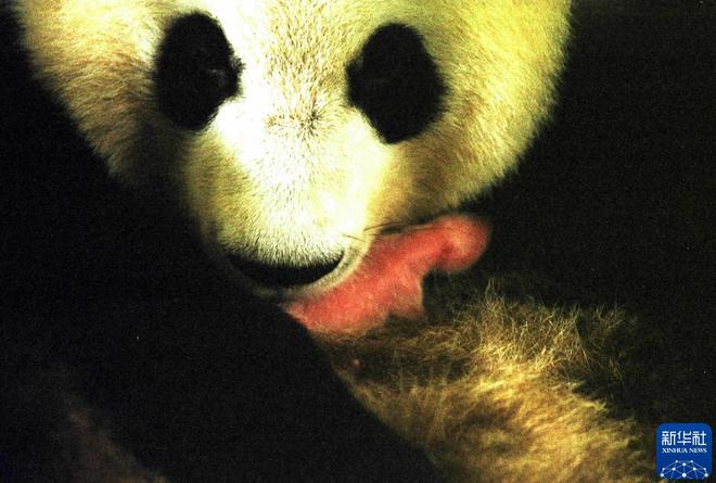 我在现场·光影流年陈燮：让影像留驻历史(图32)