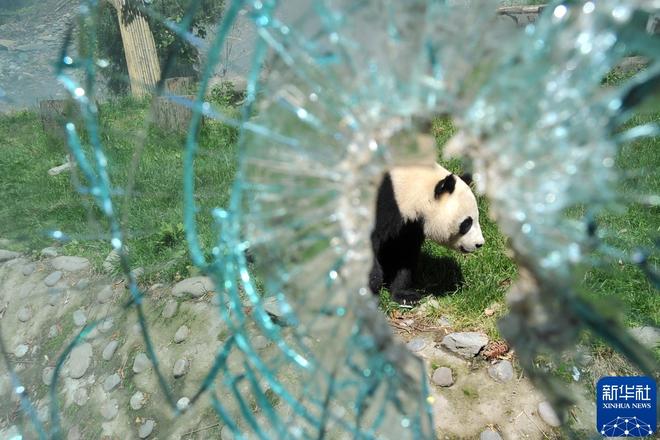 我在现场·光影流年陈燮：让影像留驻历史(图34)