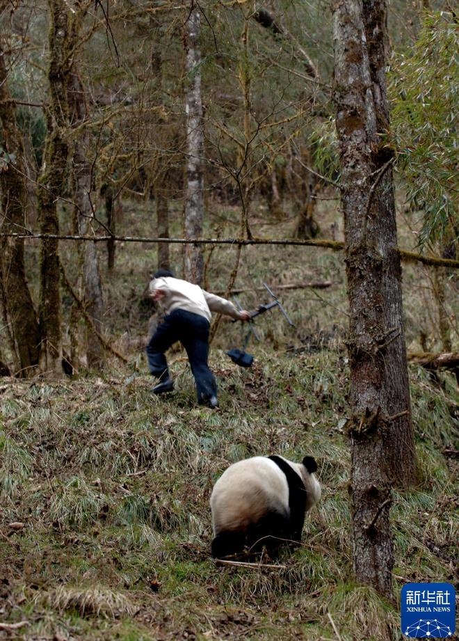 我在现场·光影流年陈燮：让影像留驻历史(图38)