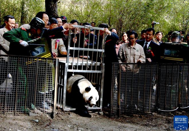 我在现场·光影流年陈燮：让影像留驻历史(图39)