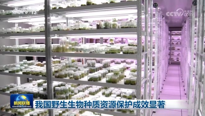 我国野生生物种质资源保护成效显著 新闻联播(图2)