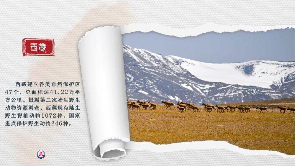 辉煌60载 魅力新西藏｜在西藏 见证写在绿水青山间的生态答卷(图1)