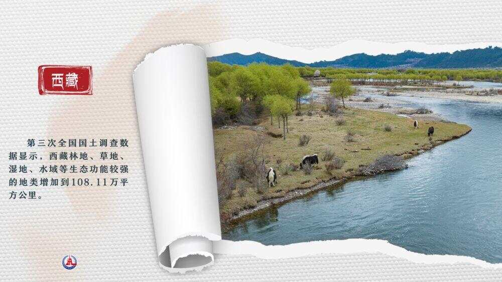 辉煌60载 魅力新西藏｜在西藏 见证写在绿水青山间的生态答卷(图3)