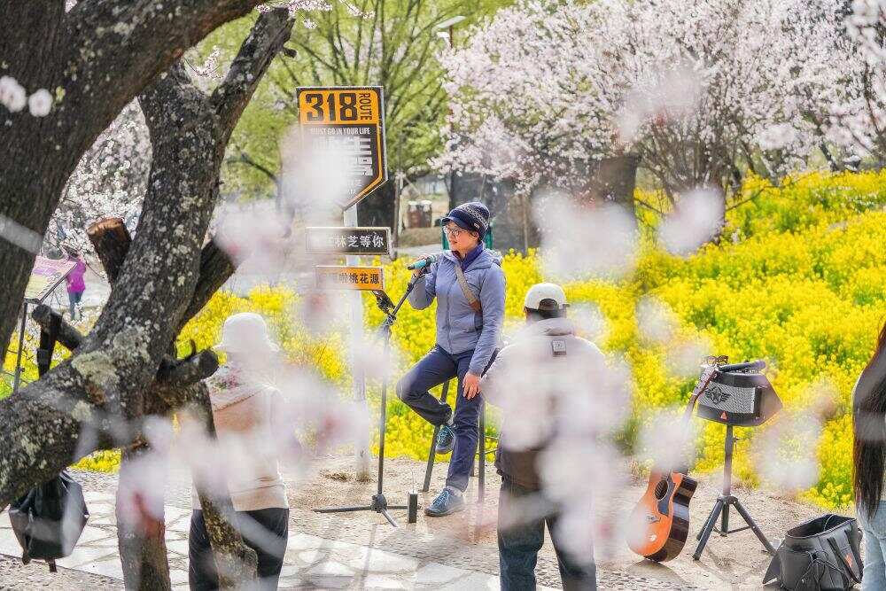 辉煌60载 魅力新西藏｜在西藏 见证写在绿水青山间的生态答卷(图10)