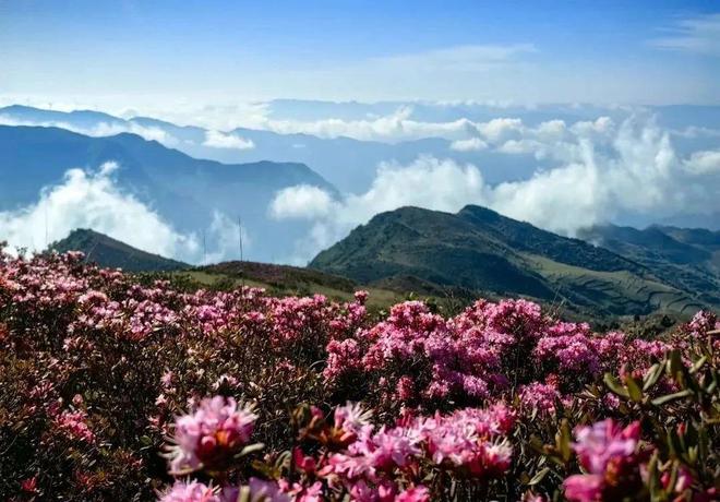 第十届（2024年度）国内外自驾路线荣耀出炉！(图5)