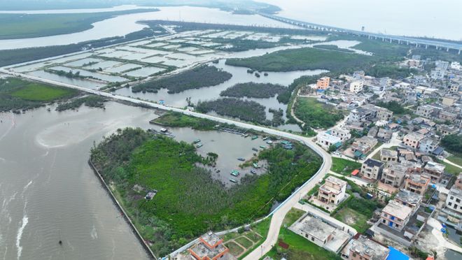 从滩涂渔村到生态地标：北港岛 IP 的破圈密码(图5)