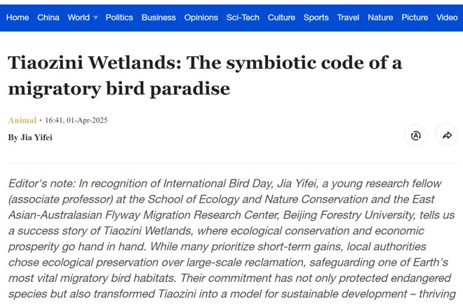 北林大为了候鸟！(图4)