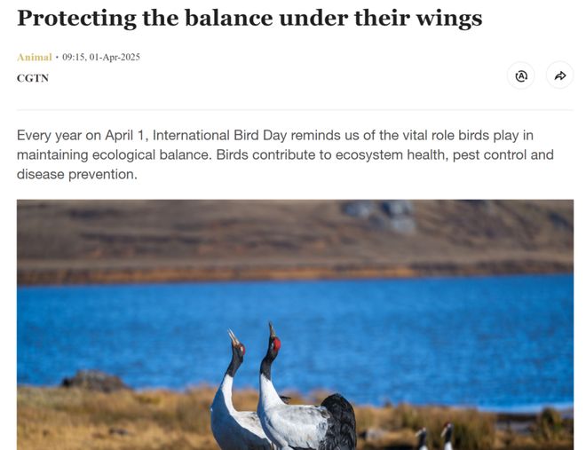 北林大为了候鸟！(图2)