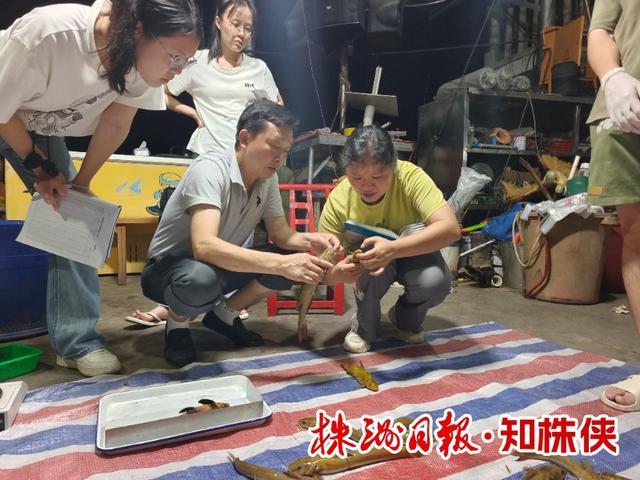 湘江株洲段现在有多少种鱼？(图2)