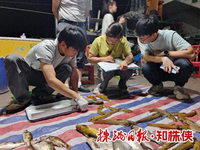 湘江株洲段现在有多少种鱼？(图1)