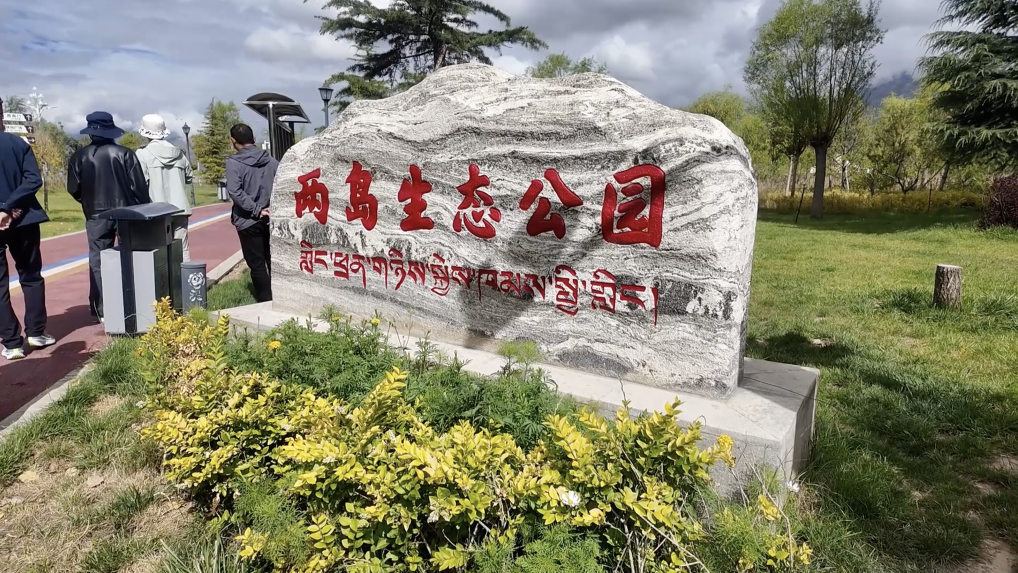 辉煌60载 魅力新西藏｜在西藏见证写在绿水青山间的生态答卷(图9)