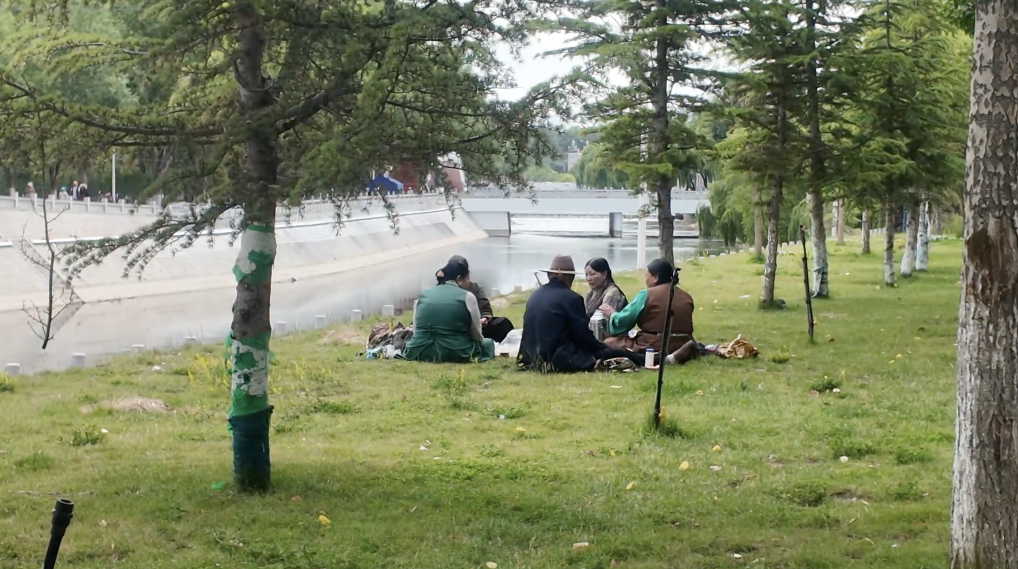 辉煌60载 魅力新西藏｜在西藏见证写在绿水青山间的生态答卷(图8)