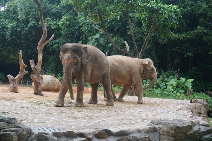 2021年至2024年累计近0亿人次享受就诊医保报销(图1)