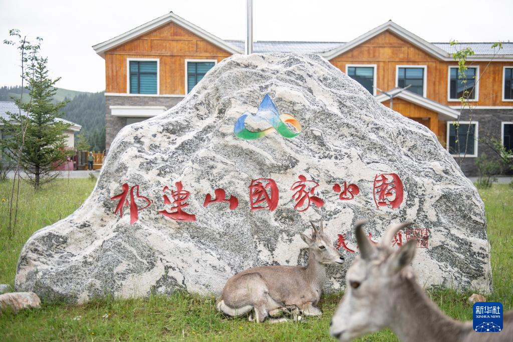 活力中国调研行丨探访祁连山国家公园野生动物救护繁育站(图1)