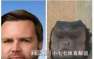黑帽悬猴“大壮”意外走红合肥动物园迎来流量热潮！(图4)