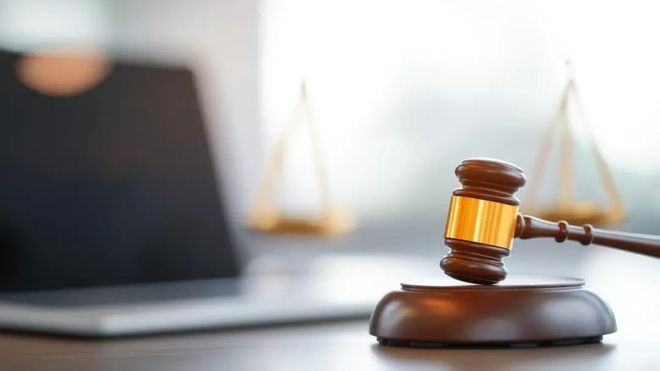 17人猎杀买卖1938只“极危动物”禾花雀获刑：仅5元一只收购催肥后20多元卖出；专家：其濒危程度不亚于大熊猫(图2)