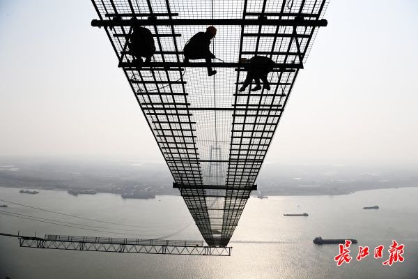 “钢铁巨龙”合龙江豚、候鸟安然(图6)