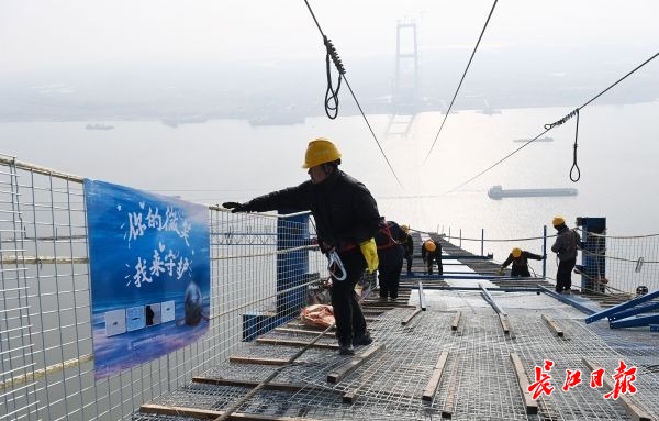 “钢铁巨龙”合龙江豚、候鸟安然(图5)