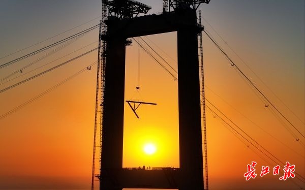 “钢铁巨龙”合龙江豚、候鸟安然(图7)