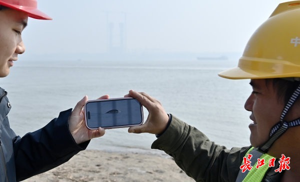 “钢铁巨龙”合龙江豚、候鸟安然(图9)