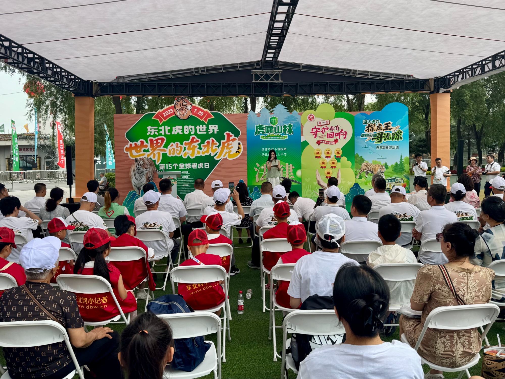 全球老虎日多重守护 静待“王者”归来(图1)