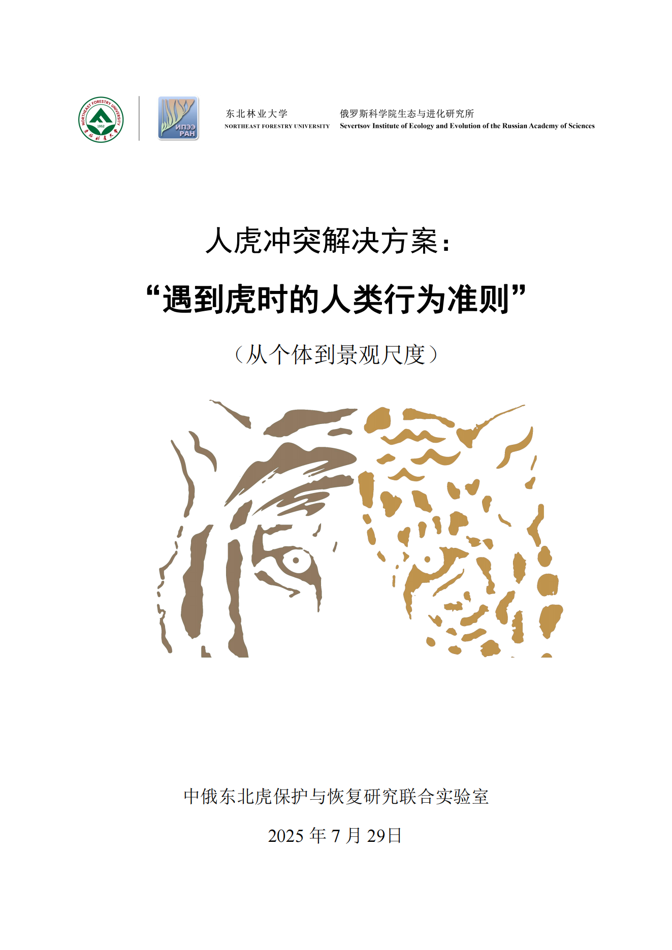 全球老虎日多重守护 静待“王者”归来(图8)