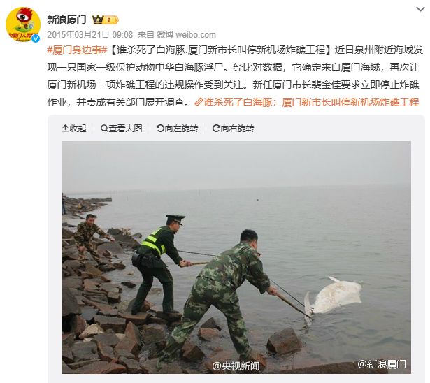 濒临灭绝的厦门湾中华白海豚种群向你发来一封求救信(图5)