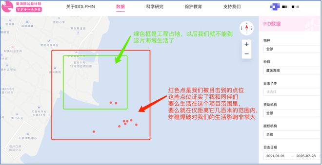 濒临灭绝的厦门湾中华白海豚种群向你发来一封求救信(图4)