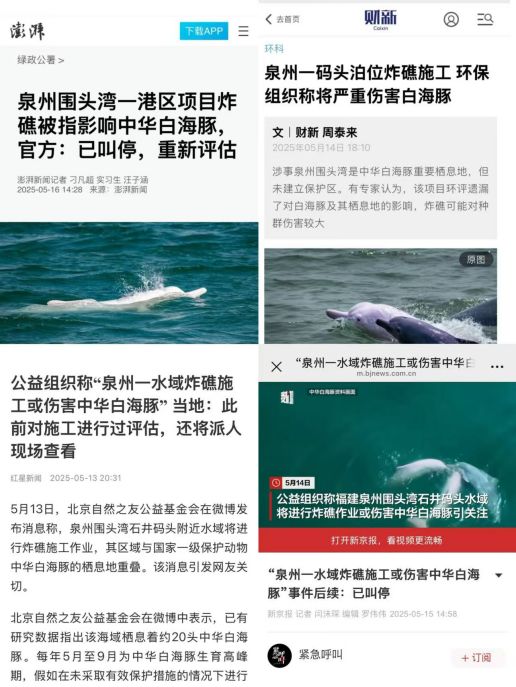 濒临灭绝的厦门湾中华白海豚种群向你发来一封求救信(图6)