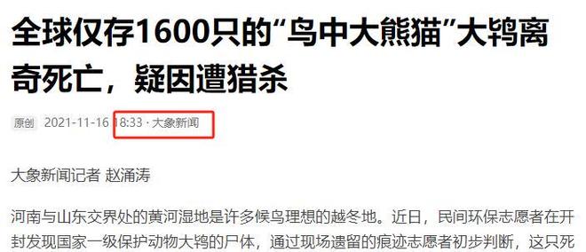 全球仅约450只! 2021年河南发现死的“大鸨” 现场有摩托车痕迹(图5)