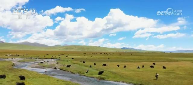 我国国家公园建设取得明显成效 美丽中国建设擦亮生态“名片”(图2)