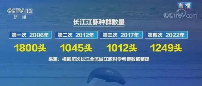5年巨变：长江80斤大鱼都能看到十年禁渔成效显著能开放吗？(图8)