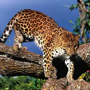 用身边事诠释新思想 宁波3名青年宣讲员获评全省金牌乡村Talk(图1)