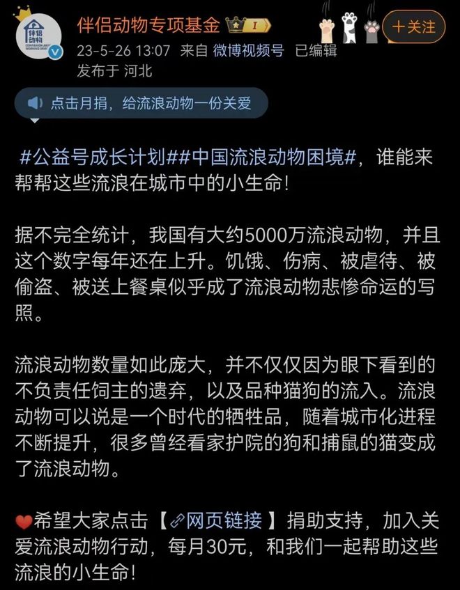 恶犬咬颈拖地男童生死未卜；俩猫意外死亡媒体狂欢3亿(图6)
