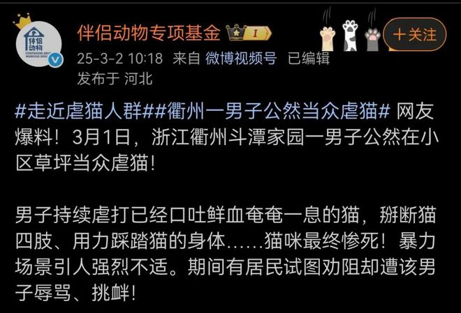恶犬咬颈拖地男童生死未卜；俩猫意外死亡媒体狂欢3亿(图5)