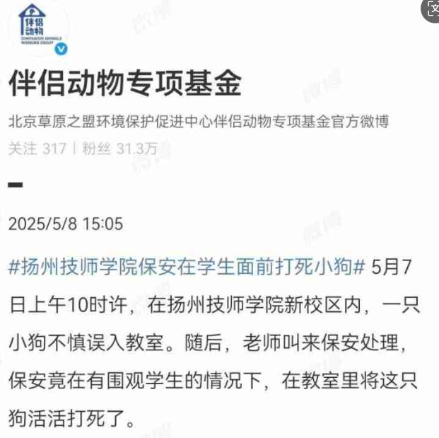 恶犬咬颈拖地男童生死未卜；俩猫意外死亡媒体狂欢3亿(图3)