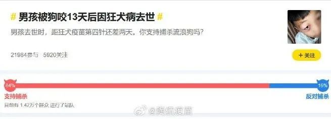 恶犬咬颈拖地男童生死未卜；俩猫意外死亡媒体狂欢3亿(图4)