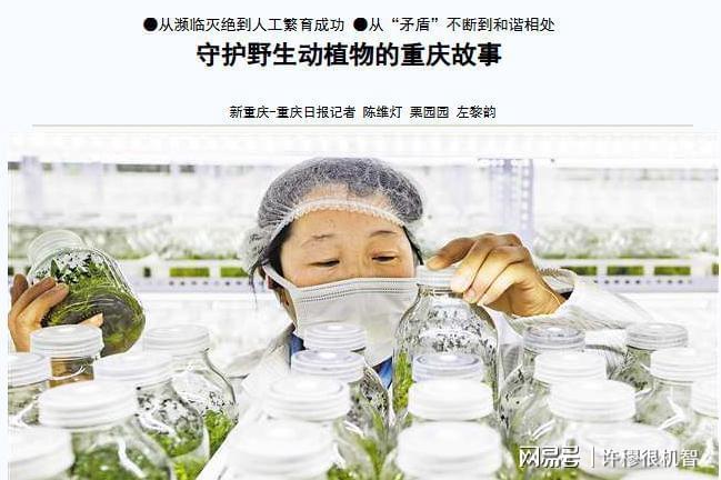 重庆老板投资1亿人工繁殖珍稀动物(图5)