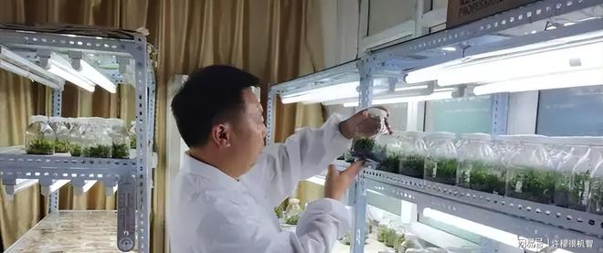 重庆老板投资1亿人工繁殖珍稀动物(图12)