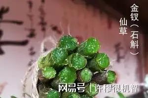 重庆老板投资1亿人工繁殖珍稀动物(图11)