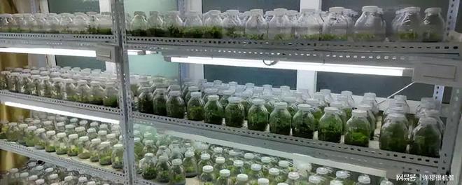 重庆老板投资1亿人工繁殖珍稀动物(图18)