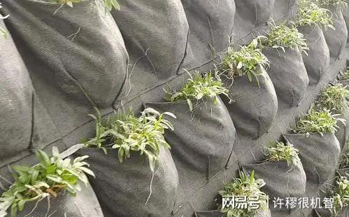 重庆老板投资1亿人工繁殖珍稀动物(图19)