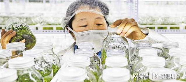 重庆老板投资1亿人工繁殖珍稀动物(图17)