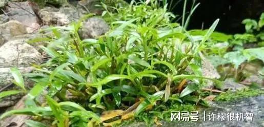 重庆老板投资1亿人工繁殖珍稀动物(图21)
