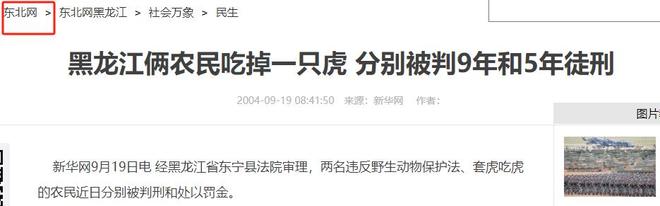 国内仅70只左右2003年黑龙江村民套到一只将其饿死后又吃掉(图1)