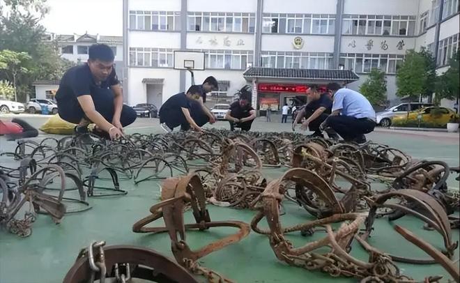 国内仅70只左右2003年黑龙江村民套到一只将其饿死后又吃掉(图2)