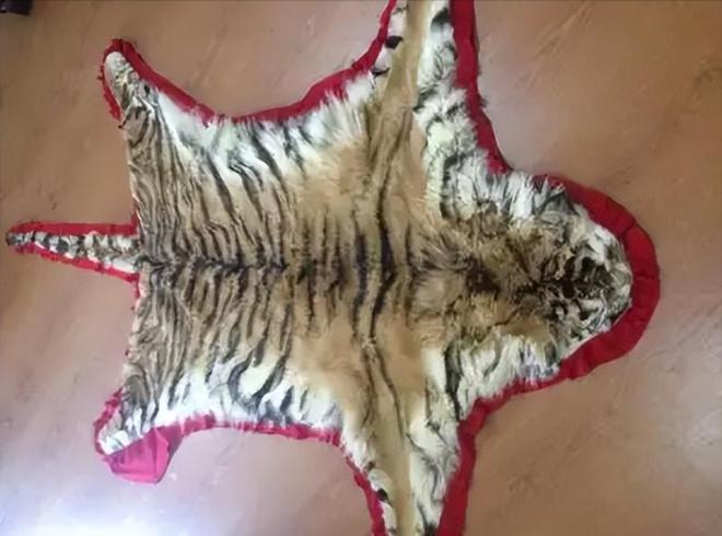 国内仅70只左右2003年黑龙江村民套到一只将其饿死后又吃掉(图6)