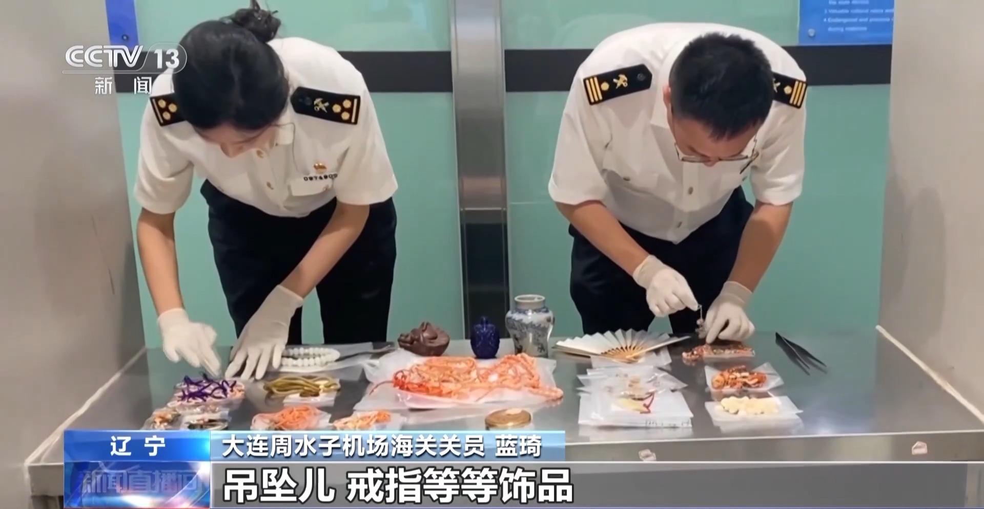 行李内藏乌龟、鳄鱼 海关查获多只濒危活体动物(图3)